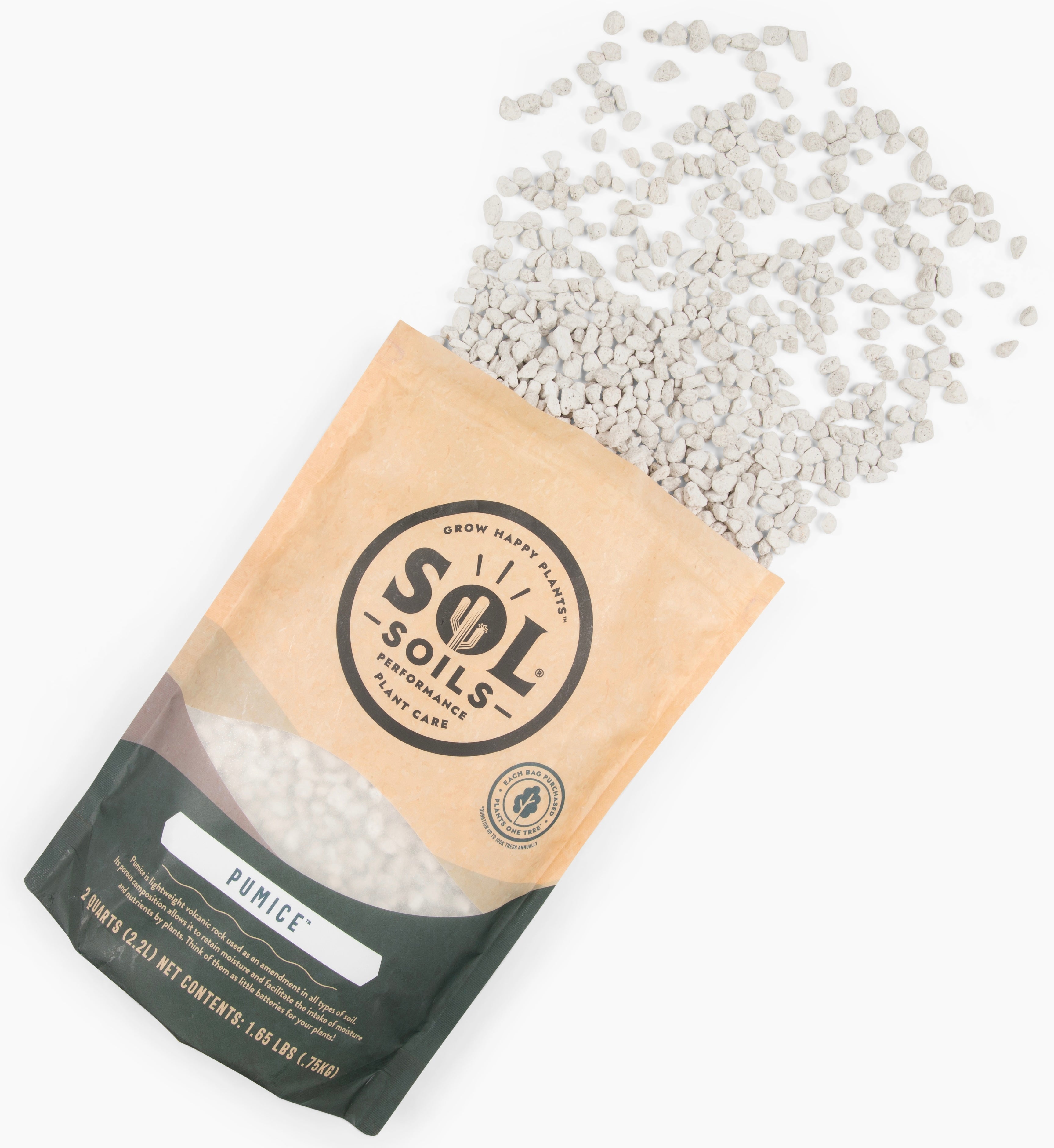 Sol Soil - Pumice - 2 Quart Bag